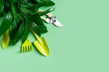 Growth and gardening creative concept with colors tools on green background,