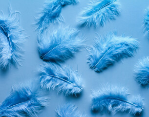 Blue feathers randomly on a blue background close up, flat lay, blue minimalism