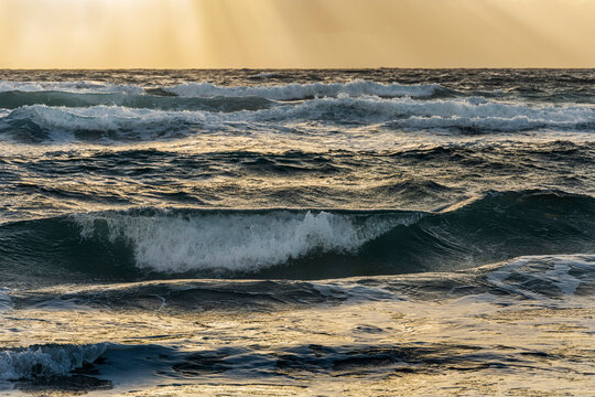 Ocean waves splashing in morning light
