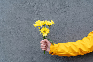 Front view of woman wearing a yellow raincoat holding a flower bouquet. Horizontal detail of daisy flowers bouquet isolated on grey wall. Flowers isolated in background concept.