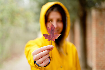 Selective focus of front close-up of unrecognizable woman holding a red maple tree leaf. Horizontal cropped view of woman with autumn leaves in yellow raincoat outdoors. Nature and people