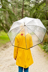 Rear view of unrecognizable woman walking with umbrella in park. Vertical view of autumn fallen leaf in umbrella and woman wearing a yellow raincoat outdoors. People and seasonal change