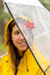 Detail view of wet red maple leaf isolated on rainy umbrella. Vertical close-up of autumn fallen leaf with raindrops in unrecognizable woman umbrella. Nature and season concept.