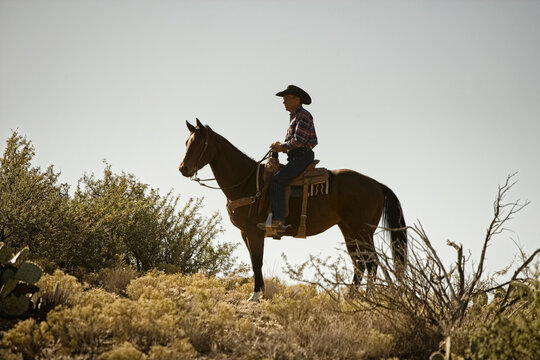 Cowboy riding horse