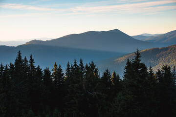 Amazing landscape in the mountains at the evening. View of the slopes covered with forest which are illuminated by light at sunset. East Carpathian Biosphere Reserve.