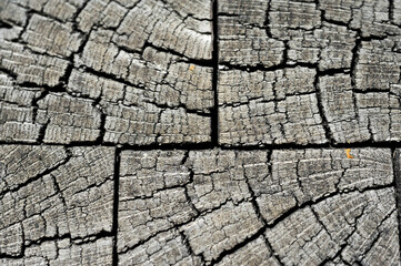 wood texture