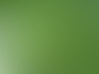 Top view, Abstract white green background texture design blank for text, Web background idea or brochure, illustration, copy space