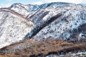 snow covered mountains