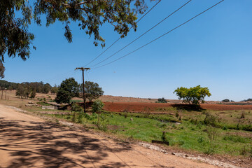 Farm in South Africa