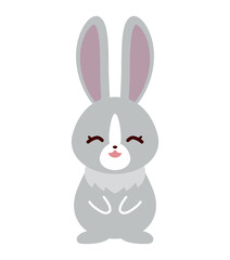 Fototapeta premium ウサギ 笑顔