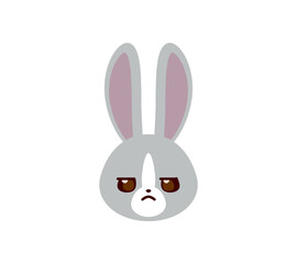 ウサギ　不機嫌