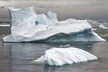 Antarctica - Pieces Of Floating Ice - Global Warming