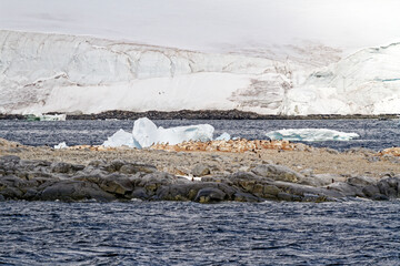 Cruising in Antarctica - Fairytale landscape