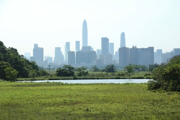 Fototapeta premium City Skyline from Rural Fields