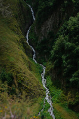 waterfall in the mountains with plants and trees around