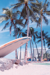 Surfboard in front of palm trees background at Waikiki Beach in Honolulu, Oahu Hawaii