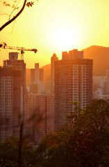 Sunset Over the City Skyscrapers