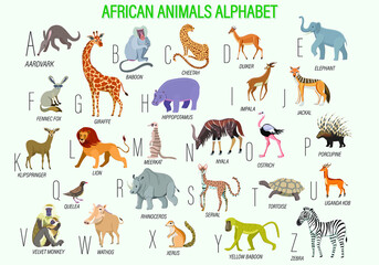 Large collection of African animals. African animals alphabet. Educational poster. - obrazy, fototapety, plakaty