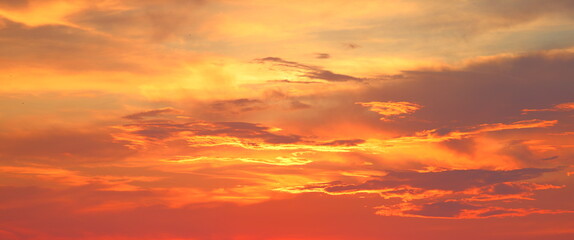 Natural beautiful bright saturated landscape view of sky sunrise or sunset with yellow orange red lilac clouds flying by small swallow birds on warm summer evening. Picture for wallpaper relaxation