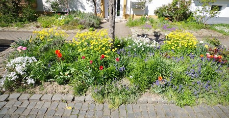 Fototapeta premium Blumenbeet