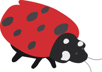 Ladybug Vector Illustration