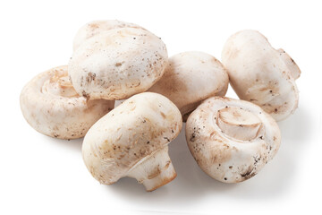 Fresh champignons