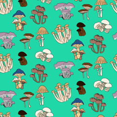 Vector seamless half-drop pattern, with cactus