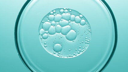 Close up view macro shot of gel with different sized bubbles spread out in petri dish on cyan background | Abstract skin care gel with hyaluronic acid formulating concept