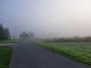 road in the fog
