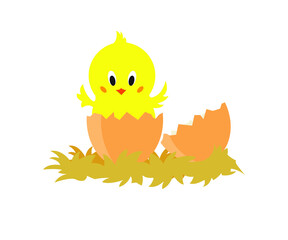 newly hatched chick vector icon, vector illustration, isolated on a white background