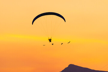 paraglider silhouette at sunset