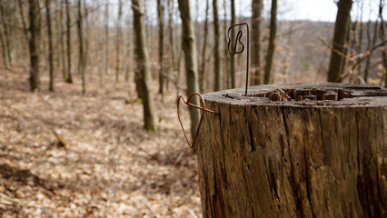 Skulptur eines Herzes an einem gefälltem Baum im Wald