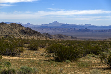 Mojave Desert Panorama