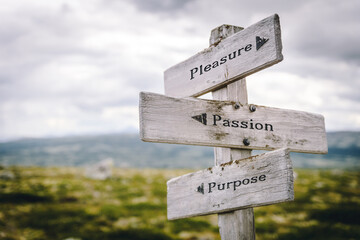pleasure passion purpose text quote written in wooden signpost outdoors in nature. Moody theme...