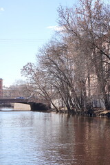 river with trees along the banks in the city center
