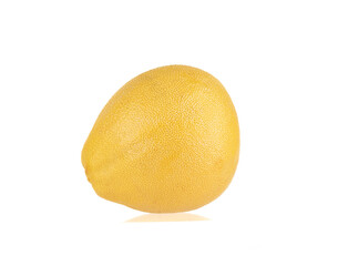 Pomelo fruit on white background with reflection and place for text.