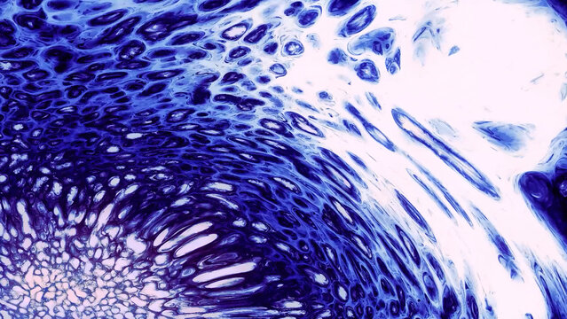 Abstract water paint diffusion with liquid soap, seamless loop. Motion. A chemical reaction with ink mixture creating colorful surreal shapes.