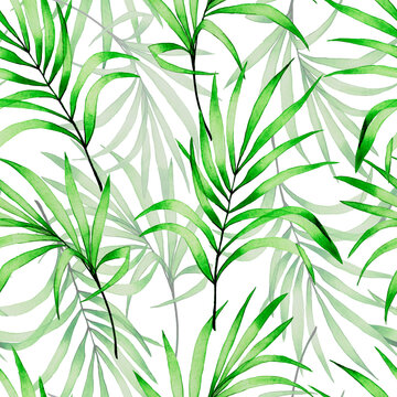seamless watercolor pattern with tropical transparent palm leaves. green tropical leaves on a white background.