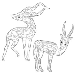 Cute animals bighorns. Doodle style, black and white background. Funny animal, coloring book pages. Hand drawn illustration in zentangle style for children and adults, tattoo.