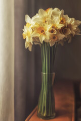 bouquet of yellow tulips in vase