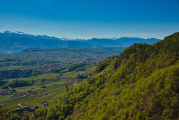Fototapeta na wymiar Landschaft in Südtirol rund im Eppan