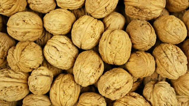 Background filled with many walnuts. Camera moves from left to wright