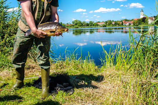 Angler mit Karpfen am See, Fisch geangelt, Fischer mit Karpfen am See