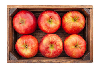 red apples in wooden box path isolated on white top view