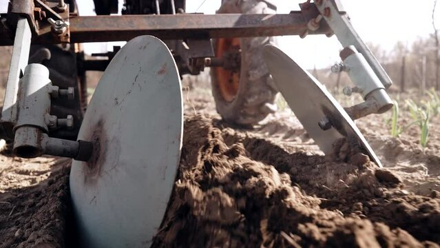 Farmer man works, ploughing in garden chernozem field with motorized unit motoblock - type of small-sized tractor, used in household. Cultivation of land, planting potatoes, plowing soil. Agriculture.