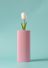 Single white tulip in a corrugated pink vase on a light blue background. Spring, summer minimal concept.