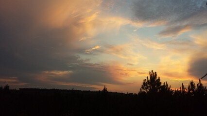 sunset over the field