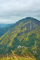 Mountains jungle forest hills fog summer