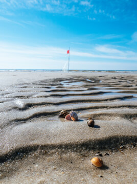 Westrand close to List on the island Sylt with a red flag marking a fishing net