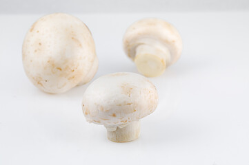 Fototapeta na wymiar Champignon mushroom on white background. Close-up
